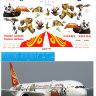 787900 Декаль на Boeing 787-900 1/144 Kung Fu Panda