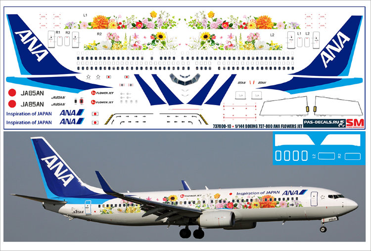 737800-10 Декаль на Boeing 737-800 1/144 ANA FLOWERS